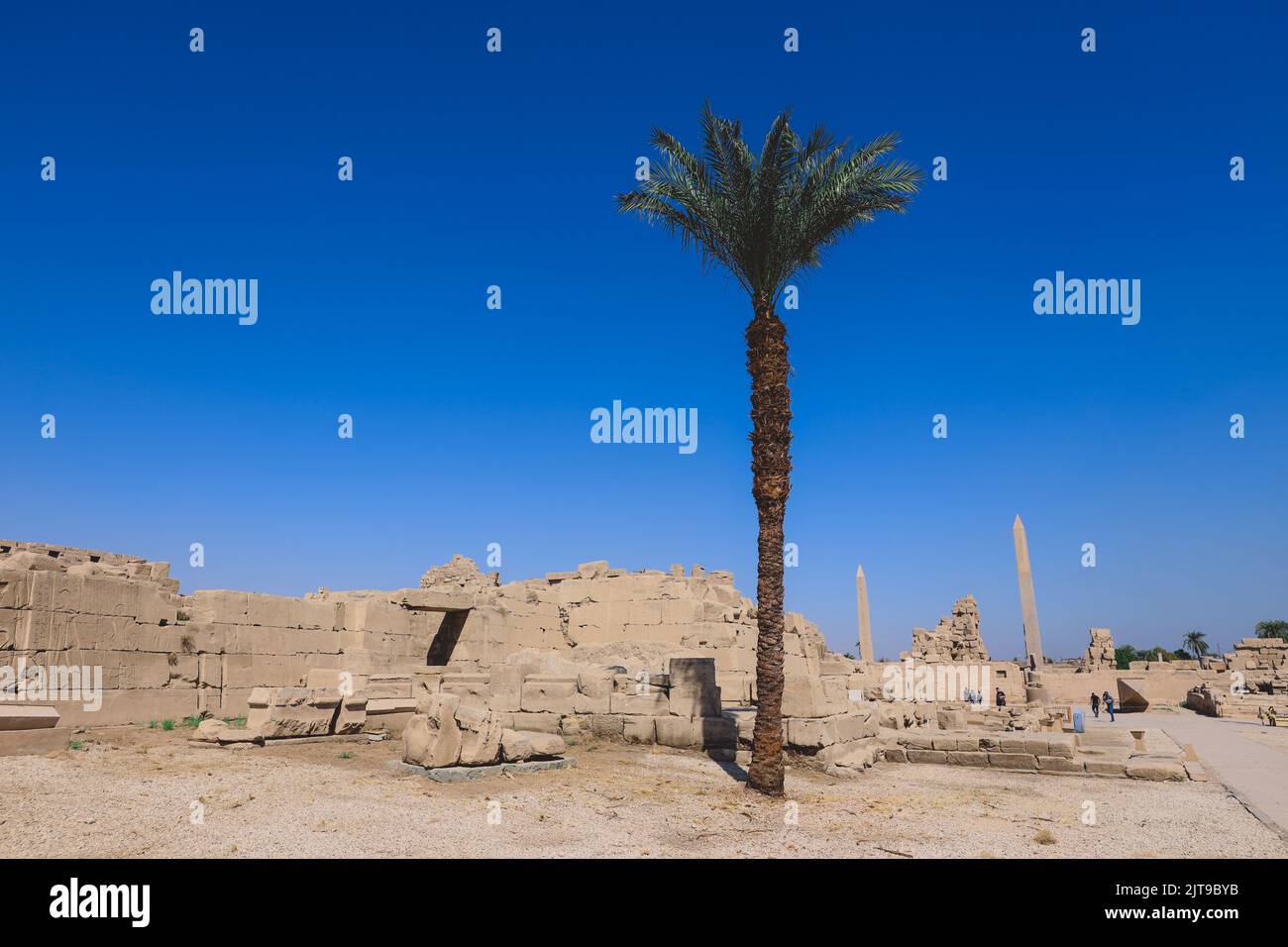Ancient Egyptian Ruins of the Karnak Temple Complex with the Palm Trees