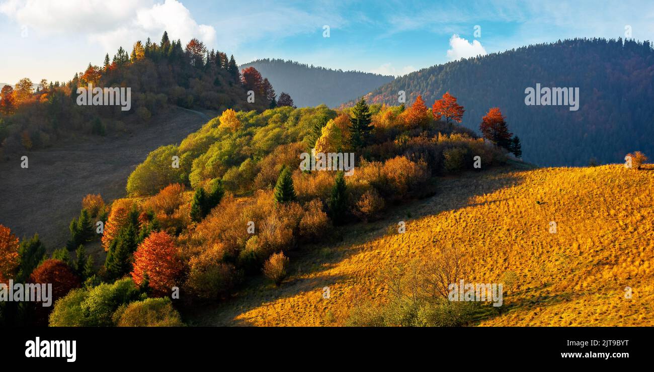 mountainous countryside in autumn. forest in colorful foliage on the hills. mountain range in the distance beneath a sky with beautiful cloudscape. wo Stock Photo