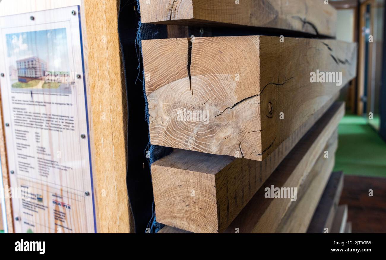 18 August 2022, Mecklenburg-Western Pomerania, Gülzow-Prüzen: Building material made of wood is on display at the Agency for Renewable Resources. Photo: Jens Büttner/dpa Stock Photo