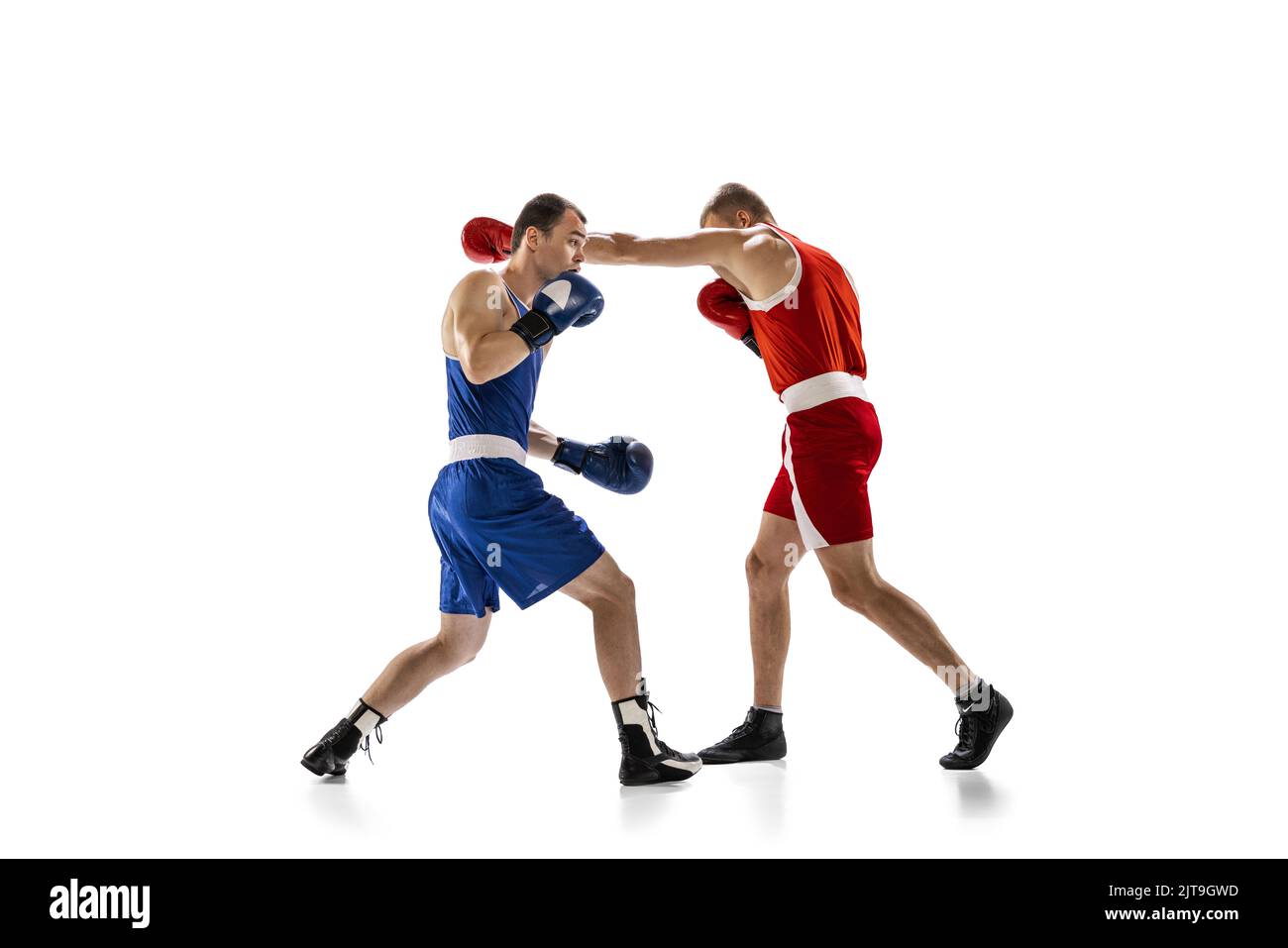 Dynamic portrait of two professional boxer in sports uniform boxing isolated on white background