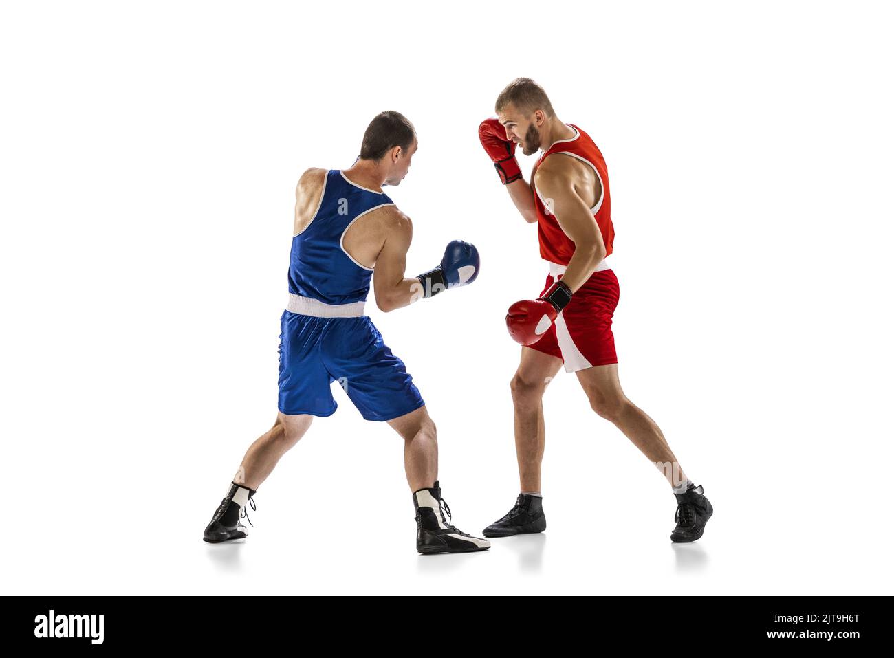 Dynamic portrait of two professional boxer in sports uniform boxing isolated on white background