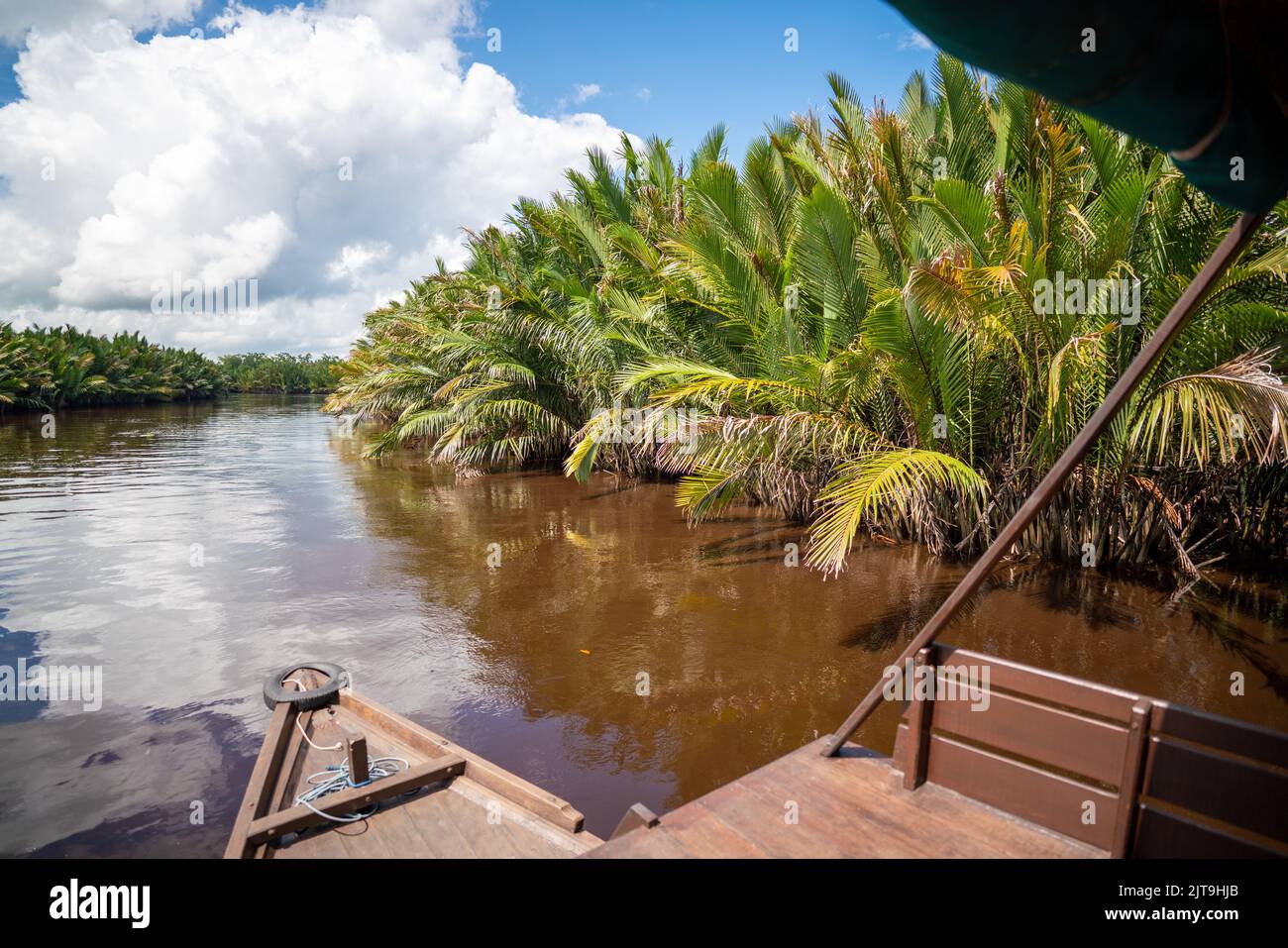 Jungle river in Borneo. Tanjung Puting National Park, Indonesia Stock Photo