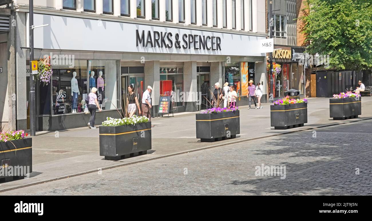 Marks and spencer flower plant hires stock photography and images Alamy