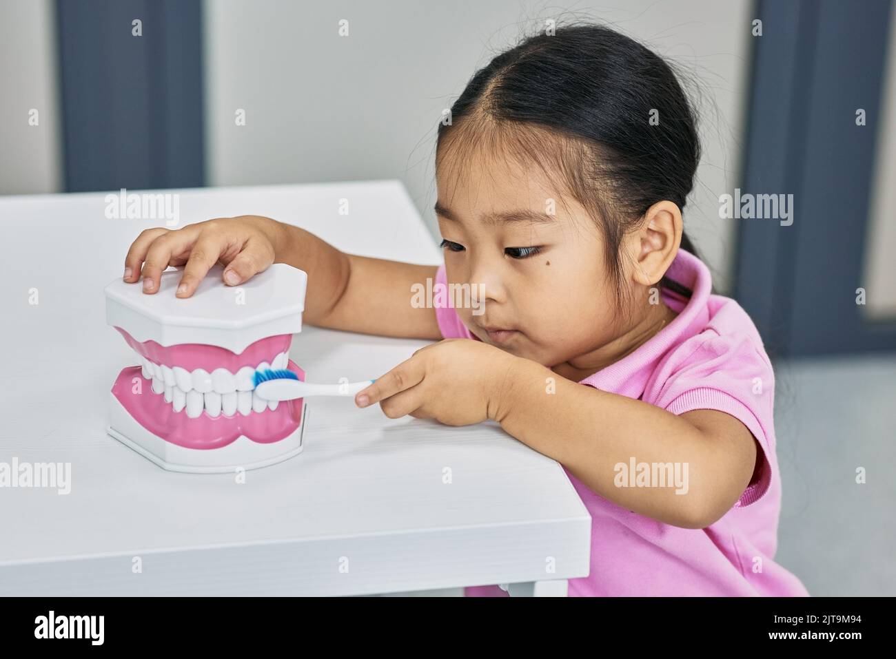 Cute Asian little girl learn how to brush teeth properly using jaw anatomy model and toothbrush. Children's dental care Stock Photo
