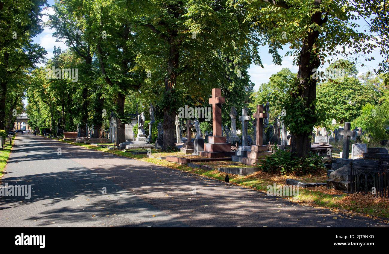Brompton Cemetery, Kensington London, UK Stock Photo Alamy