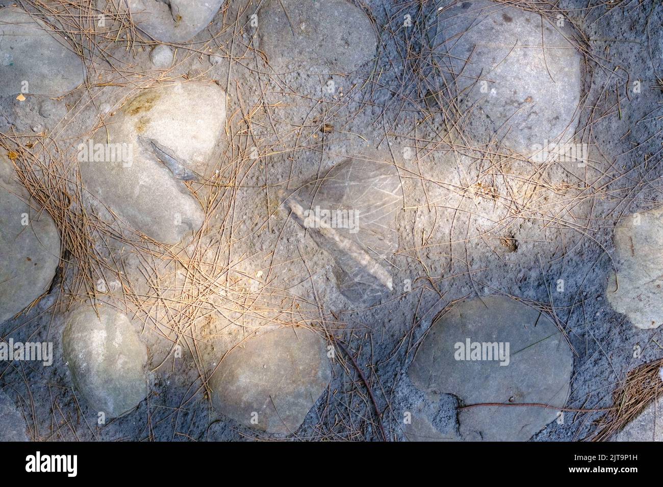 Texture of stone ground, abstract organic pattern, textured rocky background. Stock Photo