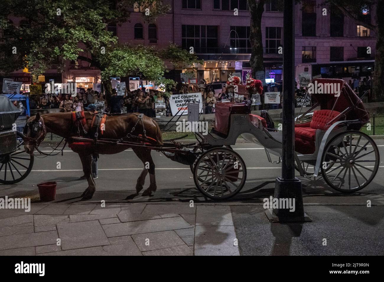 New York, United States. 27th Aug, 2022. Protesters quietly face horse