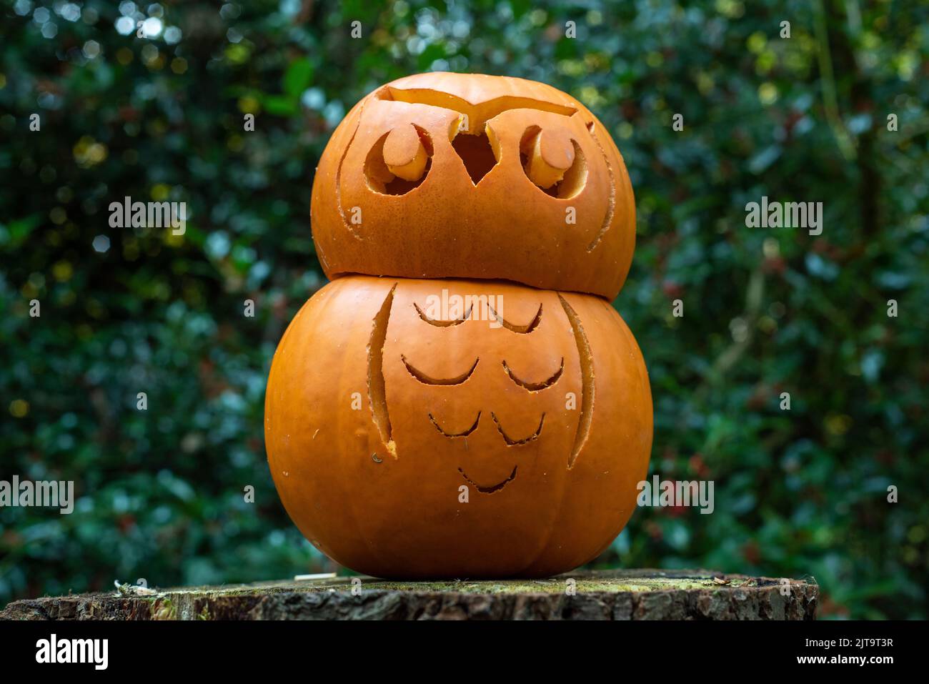 Sheffield, UK - 31 Oct 2019: Carved pumpkin or jack o lantern at Eccleshall Woods Halloween Trail Stock Photo