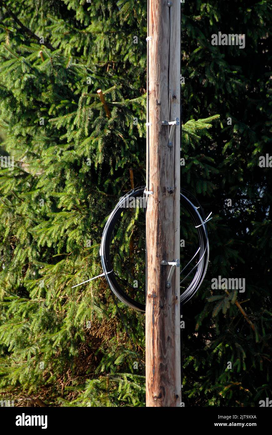 Coils of fibre-optic cable on telegraph pole waiting to be installed Stock Photo
