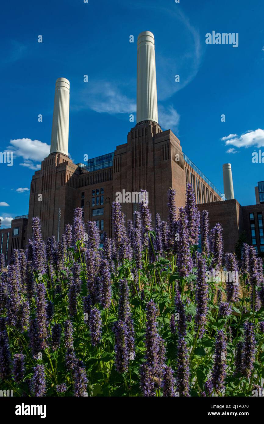 Flora and fauna - nature meets Battersea Power Station in brilliant sunshine in the summer Stock Photo
