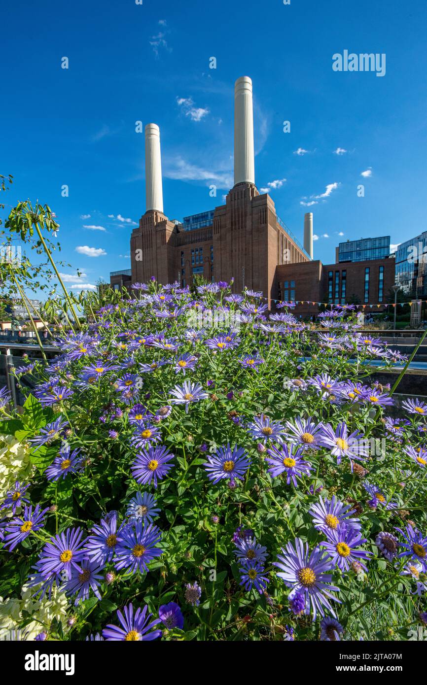 Flora and fauna - nature meets Battersea Power Station in brilliant sunshine in the summer Stock Photo