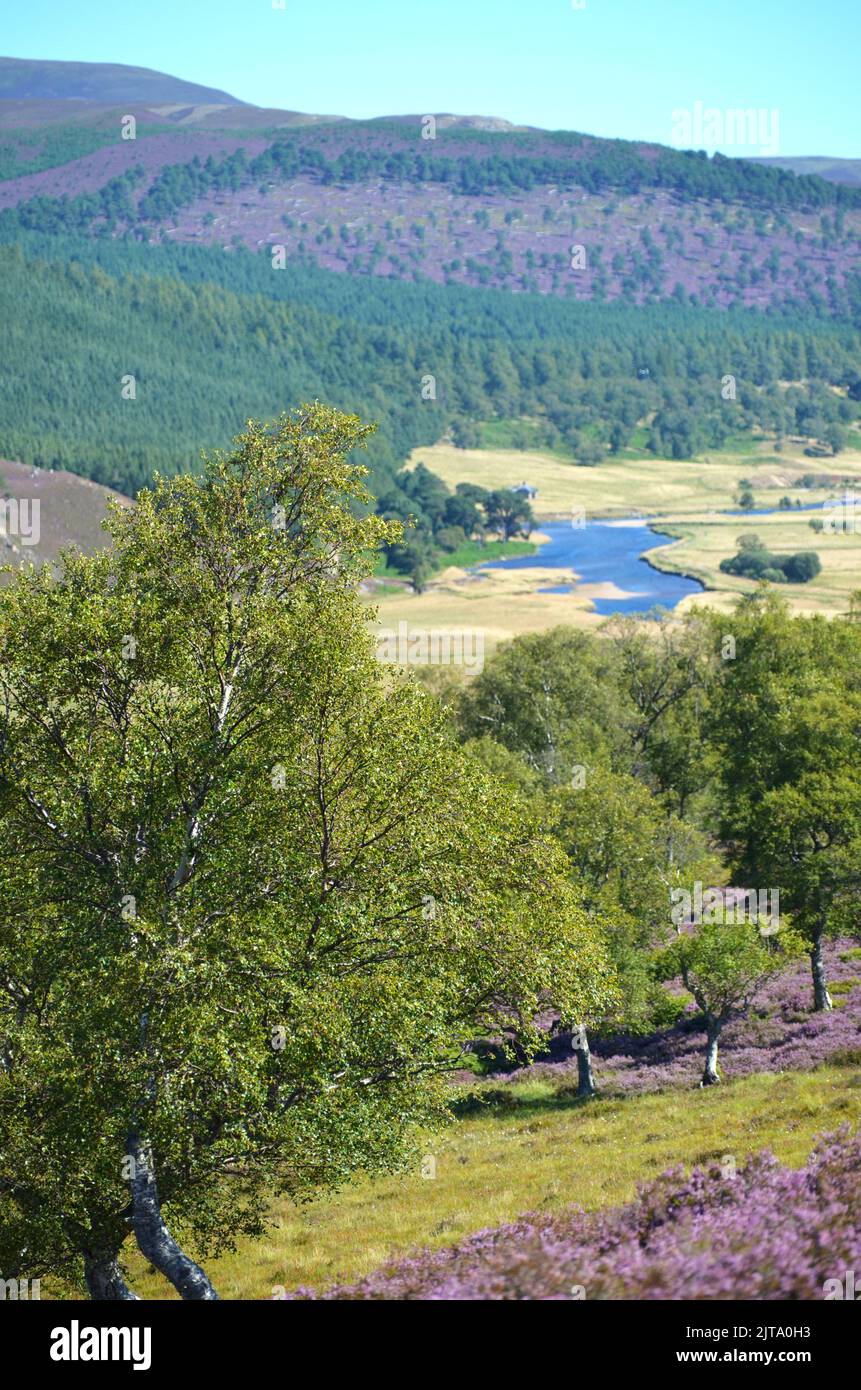 River Dee near Braemar, The Cairngorms National Park, Scotland Stock