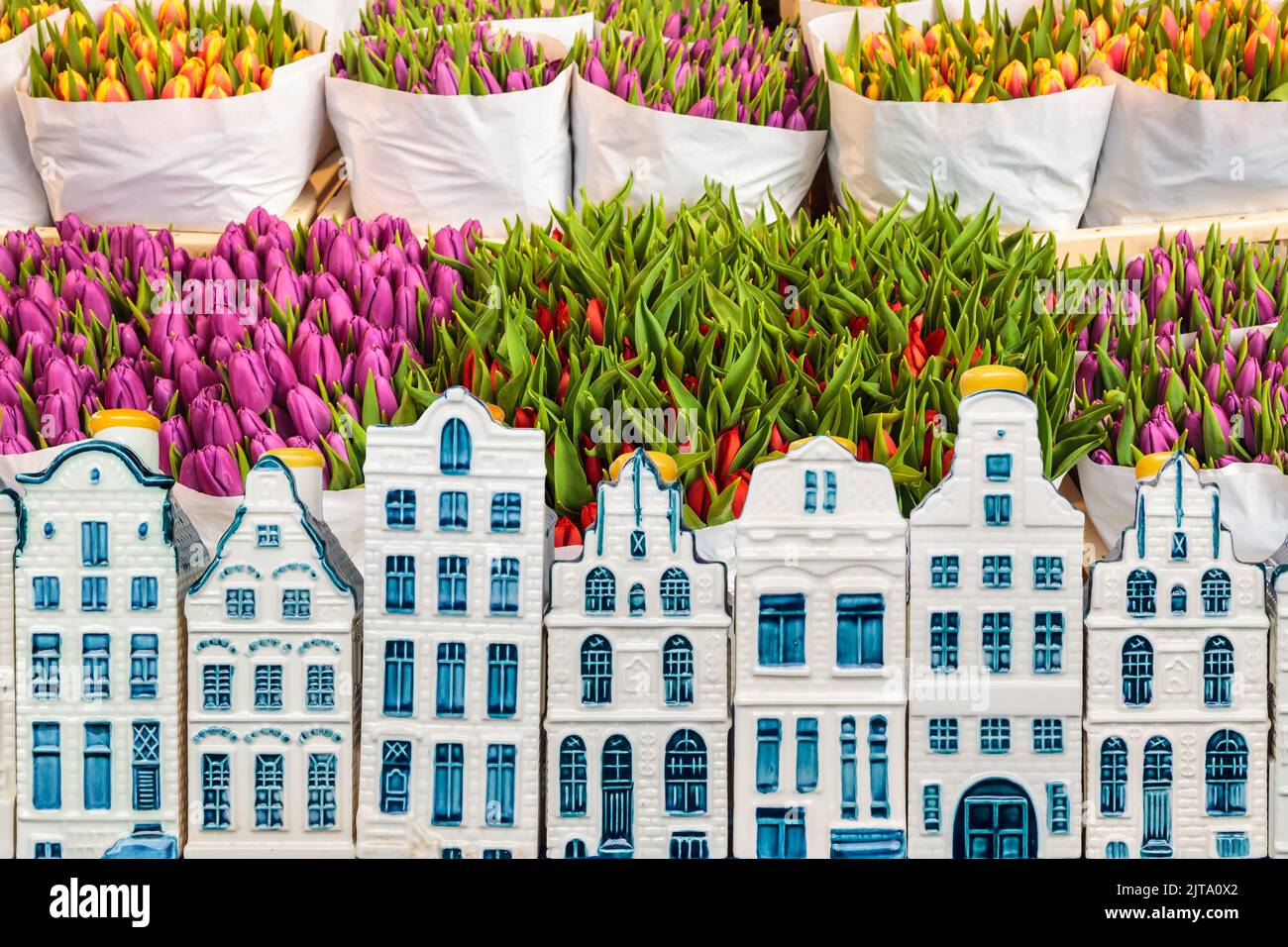 Colorful tulips in a flower shop with souvenir Amsterdam canal houses