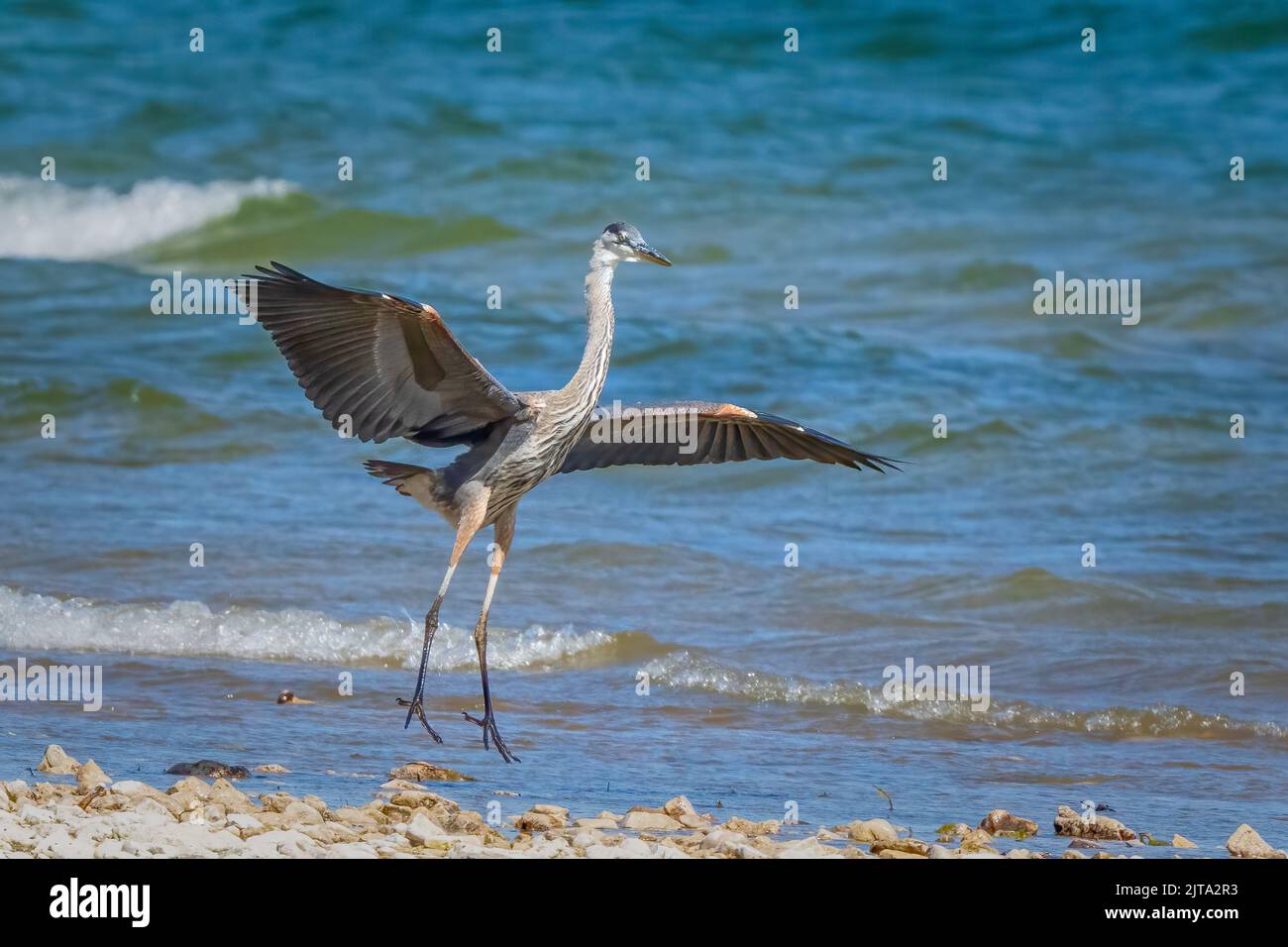 The Door County Land Trust is a land conservation organization that
