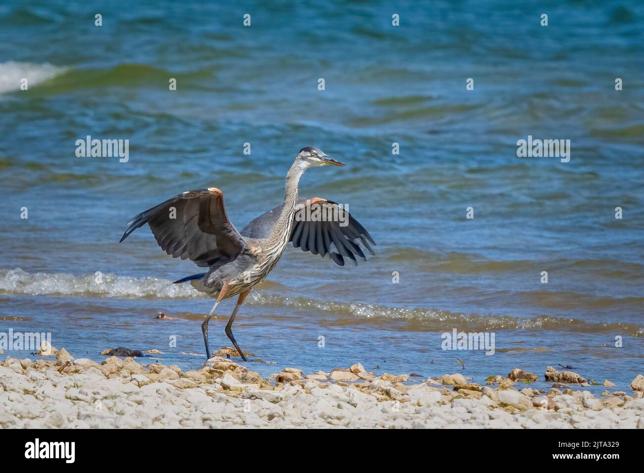 The Door County Land Trust is a land conservation organization that