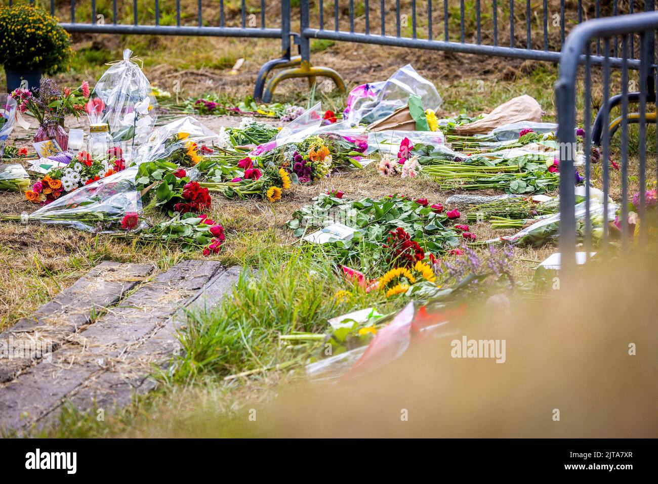 NEW BEIJERLAND, Netherands, 2022-08-29 13:28:50 NEW BEIJERLAND - Flowers at a temporary memorial dedicated to the victims of the fatal accident in the Zuidzijde hamlet, which killed six people and injured seven. ANP JEFFREY GROENEWEG netherlands out - belgium out Stock Photo