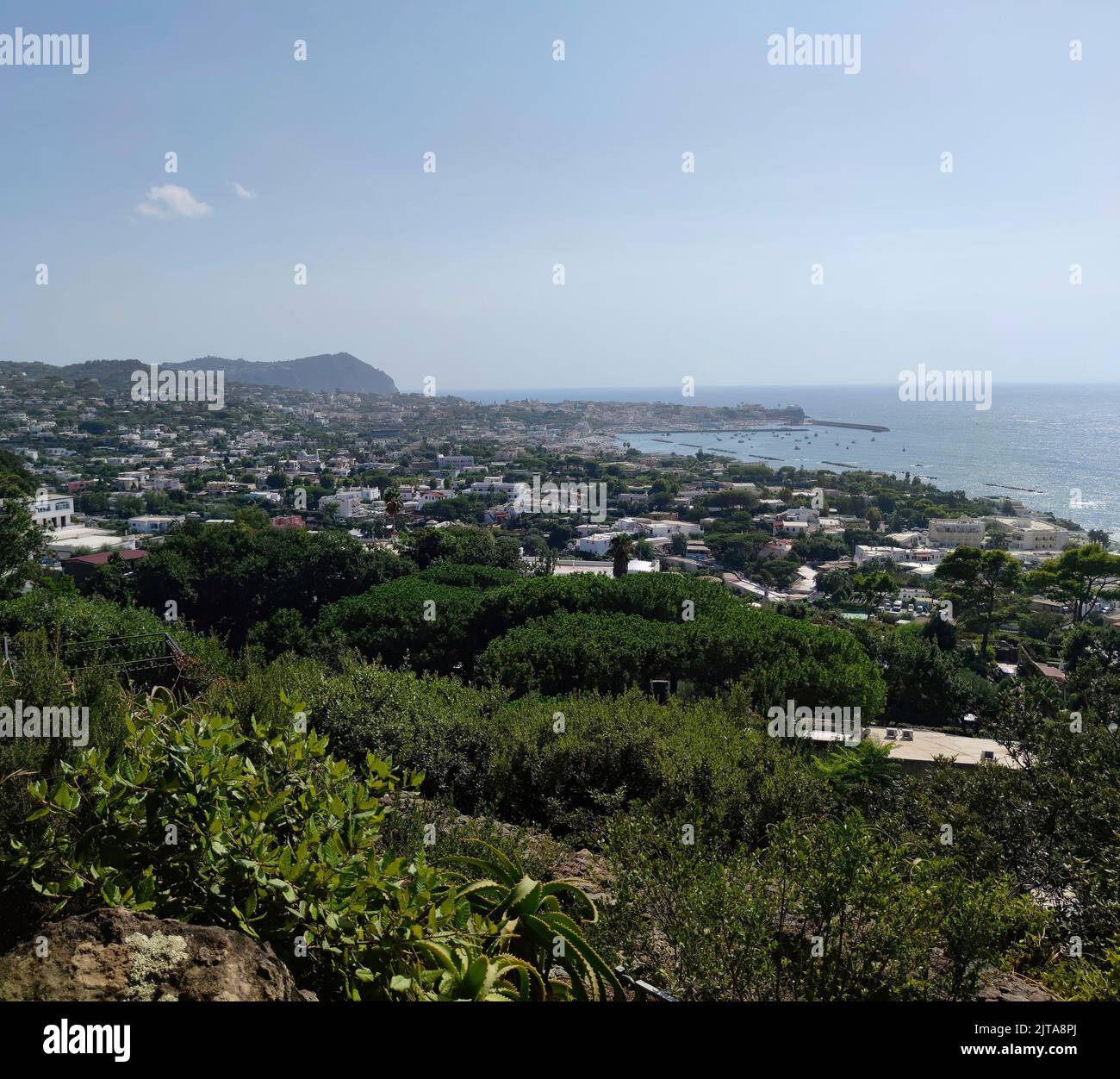 Panoramic view of the beautiful city of Forio from the garden of Mortella one of the most beautiful gardens in Italy. Isola d' Ischia, Italy Stock Photo