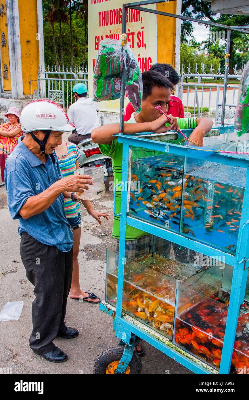 Selling tropical fish hi res stock photography and images Alamy