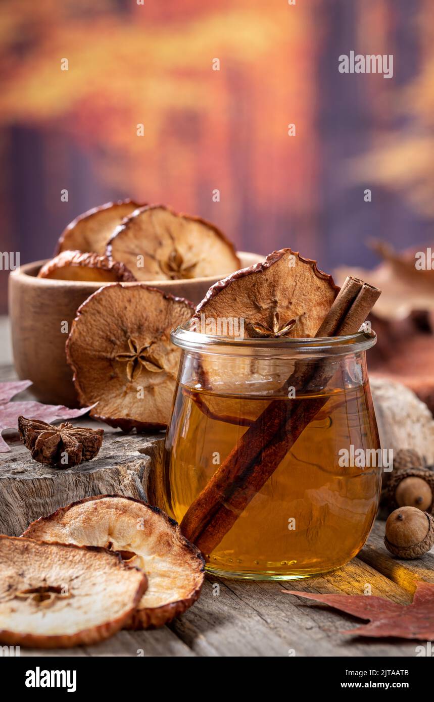 Glass of apple cider with cinnamon stick and dried apple chips with autumn background for copy space Stock Photo