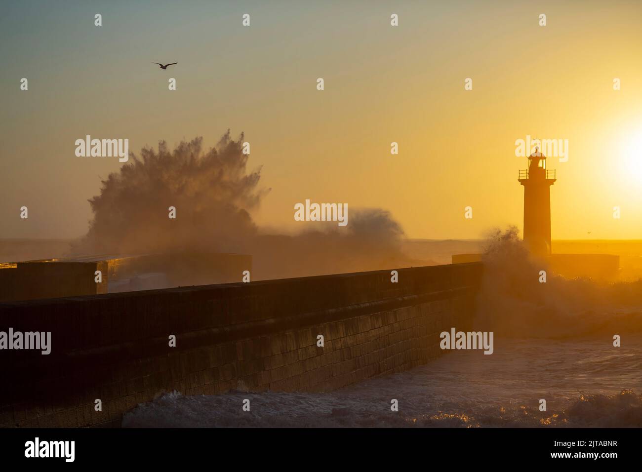 Huge wave on the lighthouse during golden sunset. Atlantic ocean, Porto, Portugal. Stock Photo