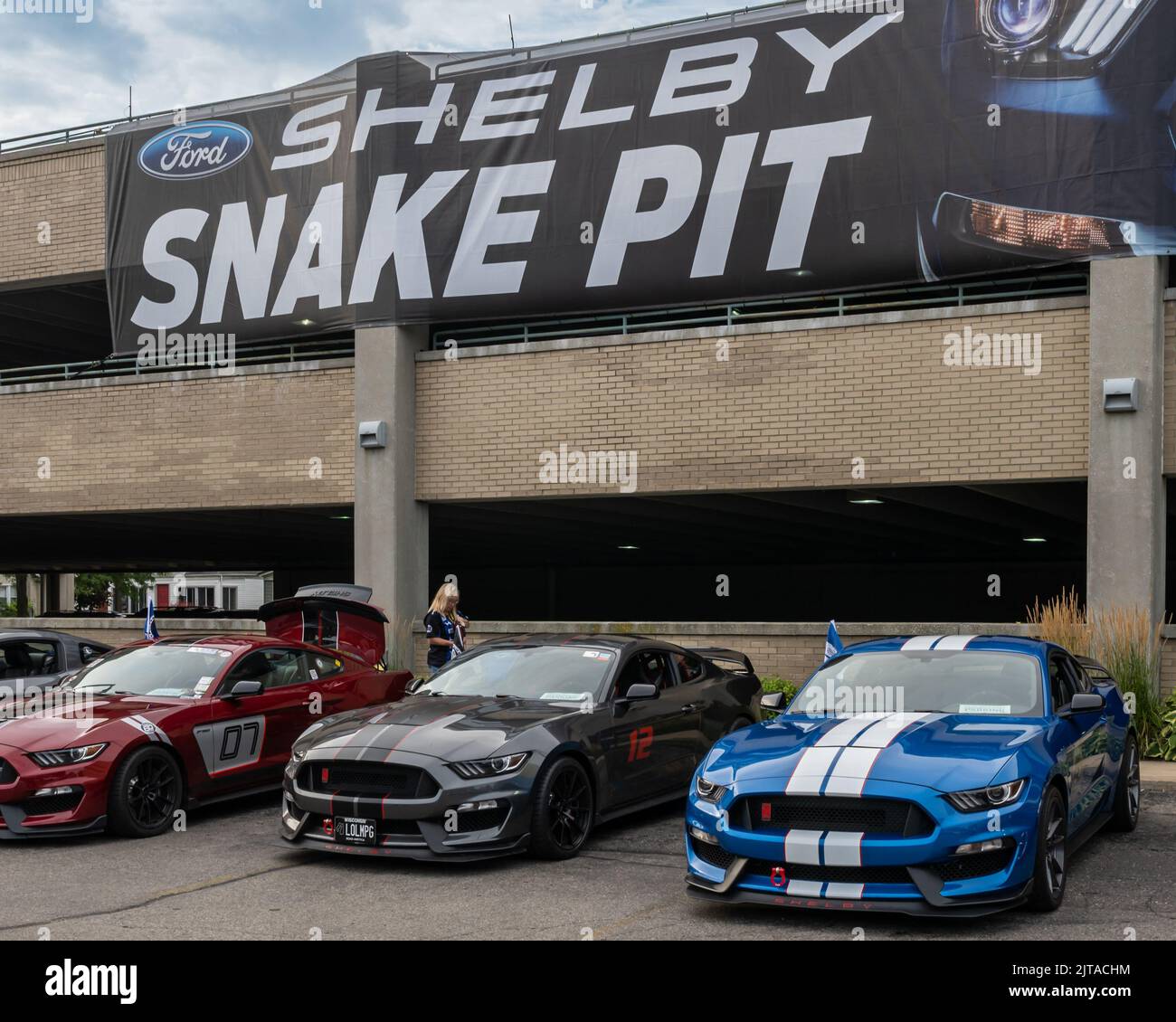 FERNDALE, MI/USA AUGUST 20, 2022 Ford Shelby Snake Pit, on Mustang
