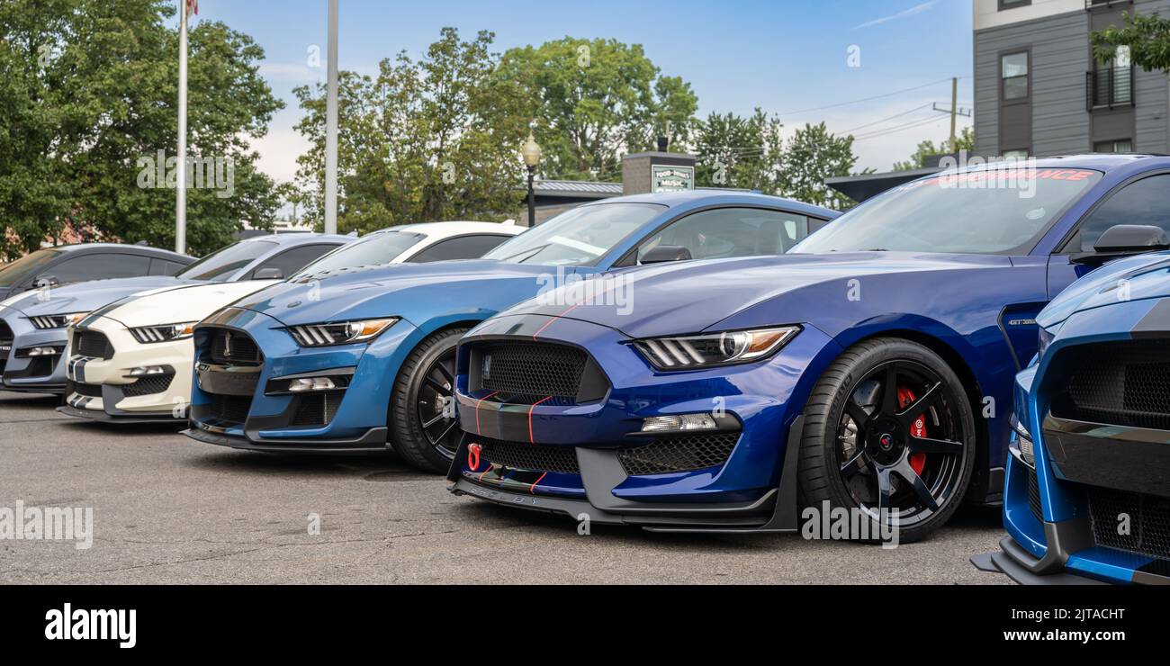 FERNDALE, MI/USA AUGUST 20, 2022 Five Ford Shelby GT500 cars at