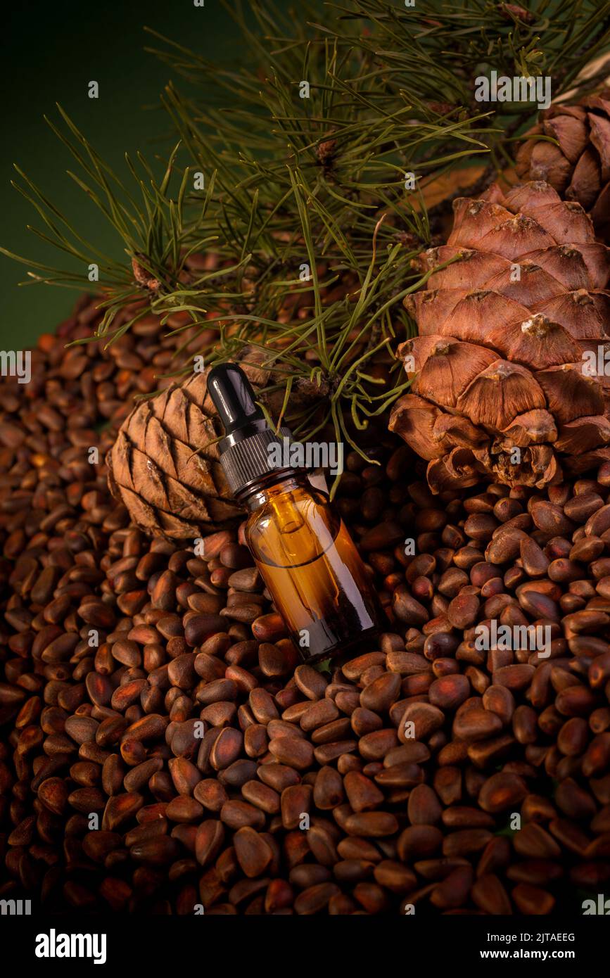 Coniferous Cedar Cosmetic Oil with natural Cedar Nuts and Pine Cones