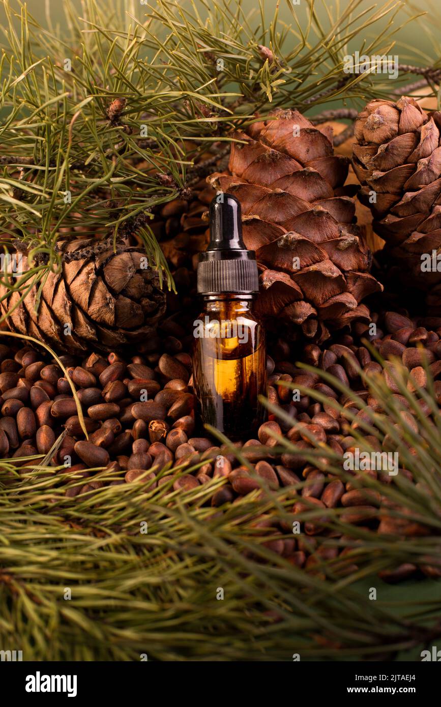 Coniferous Cedar Cosmetic Oil with natural Cedar Nuts and Pine Cones