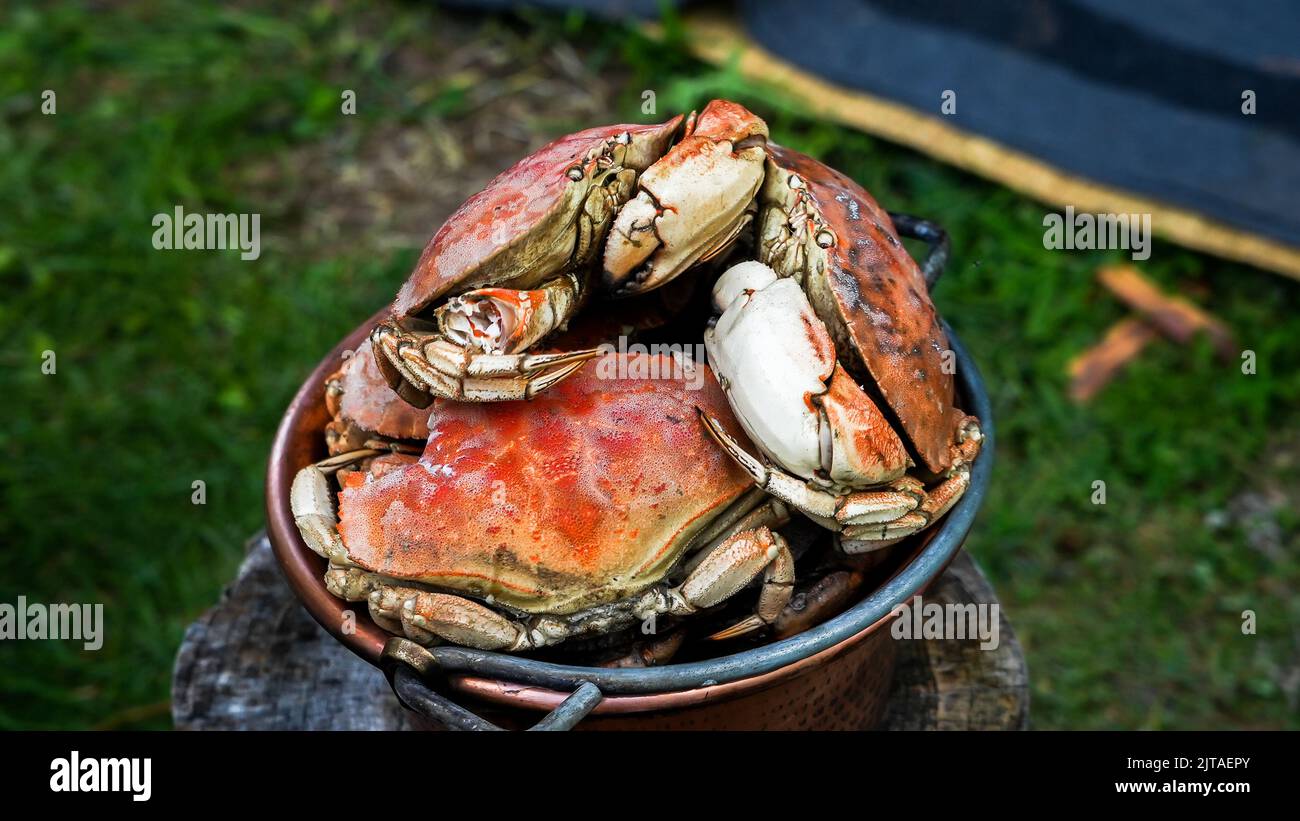 Bucket with fresh cooked crabs outside on wood with grass Stock Photo