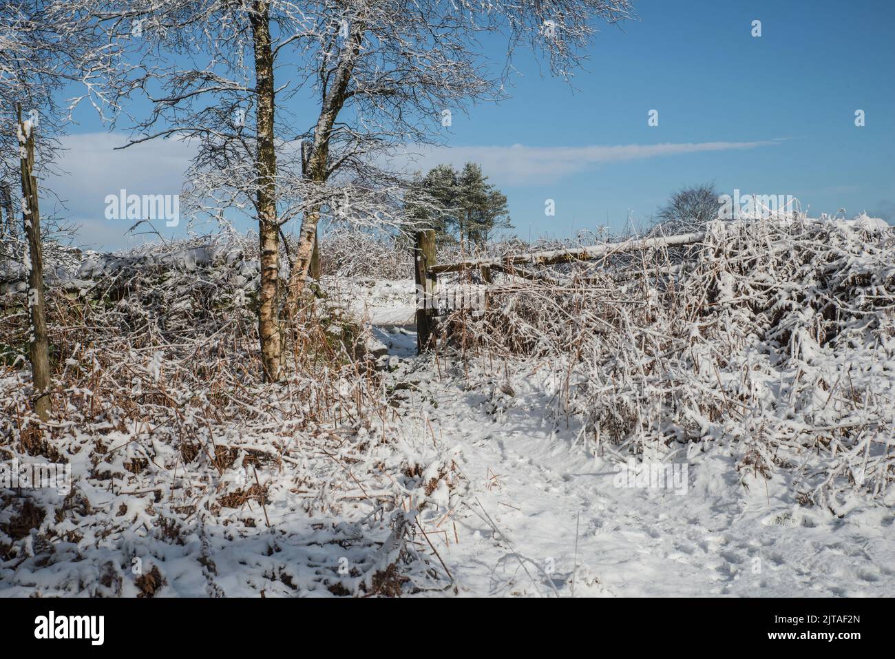 A snow covered footpath in the countryside near Matlock, Derbyshire, England Stock Photo