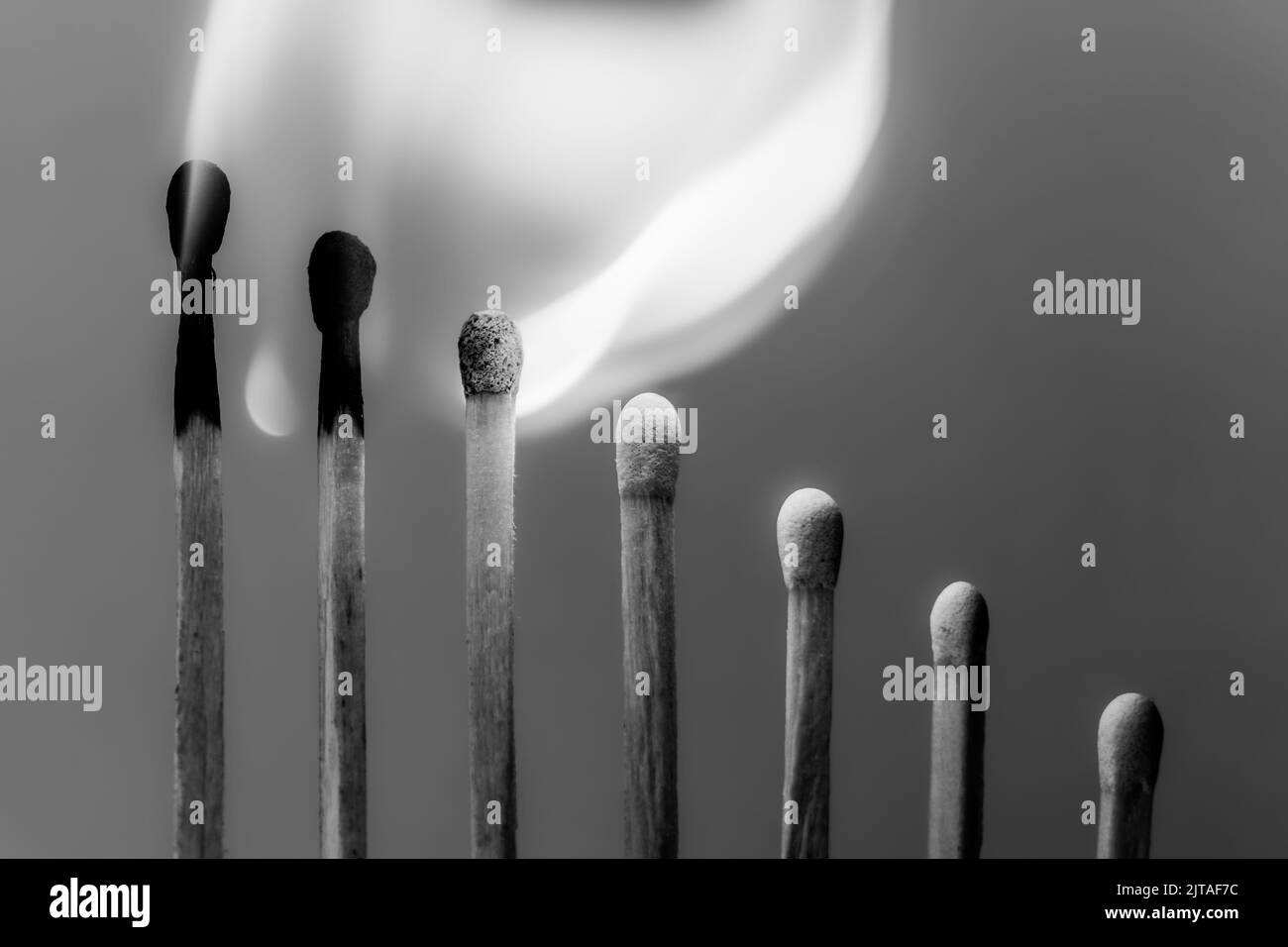 Wooden matchsticks burning in sequence. Black and white colors. Selective Focus. Stock Photo