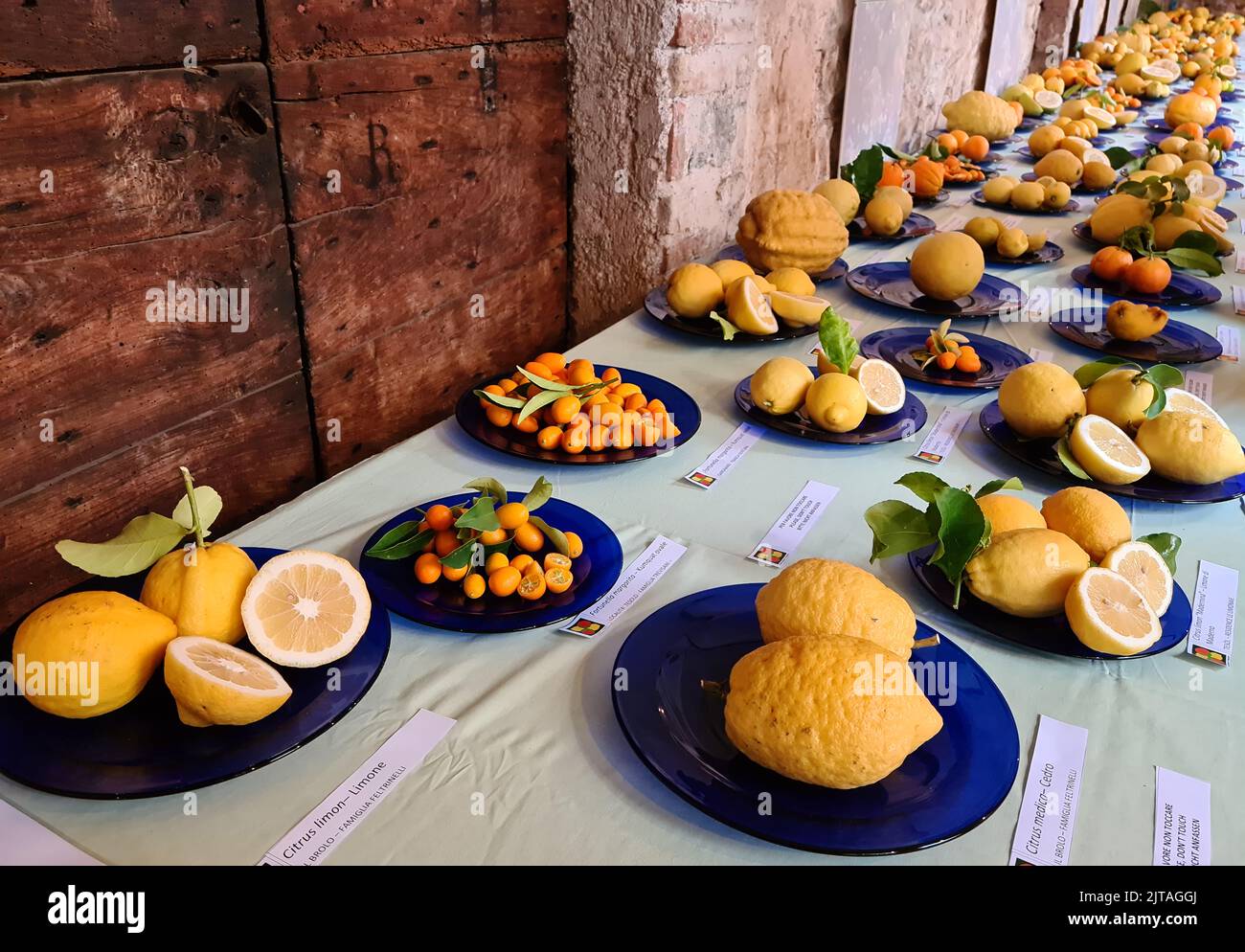 Giardini d’Agrumi is an event with a pomological table of Garda citrus fruits, an exhibition of historical tools, exhibitions, floral arrangements. Stock Photo