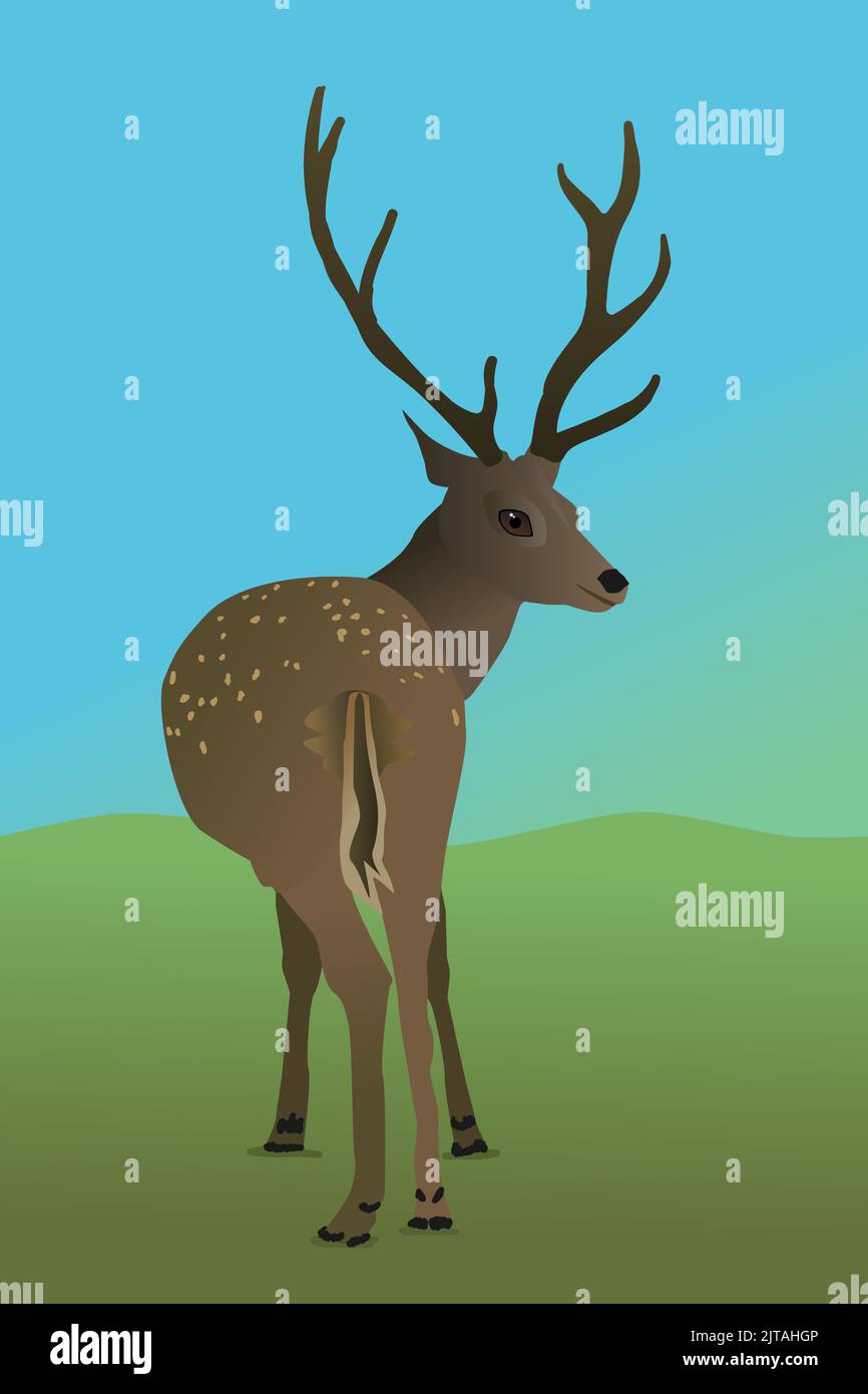 A vector illustration of a deer in the field. You see the animal from its behind and it looks backwards at you. It's a male deer with antlers. He sta Stock Vector
