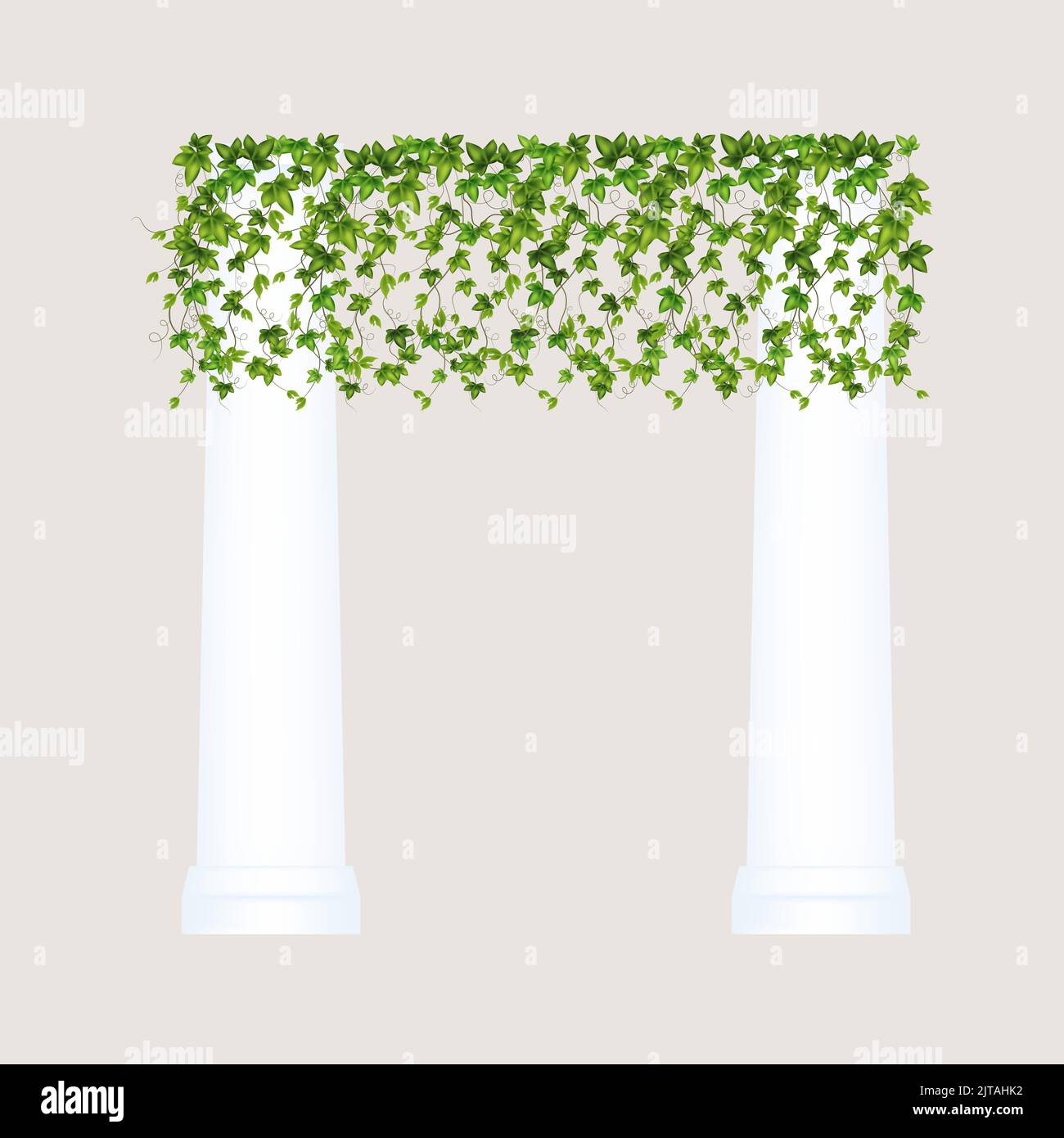 Decoration for garden or home.Green vine, creeper or ivy hanging from above or climbing the wall.Template on white background. Stock Vector