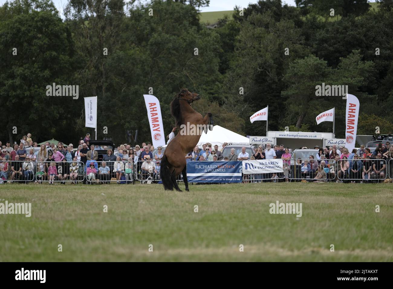 Wooler, United Kingdom. 29th Aug, 2022. Glendale Show, returns in 2022, also the first year in