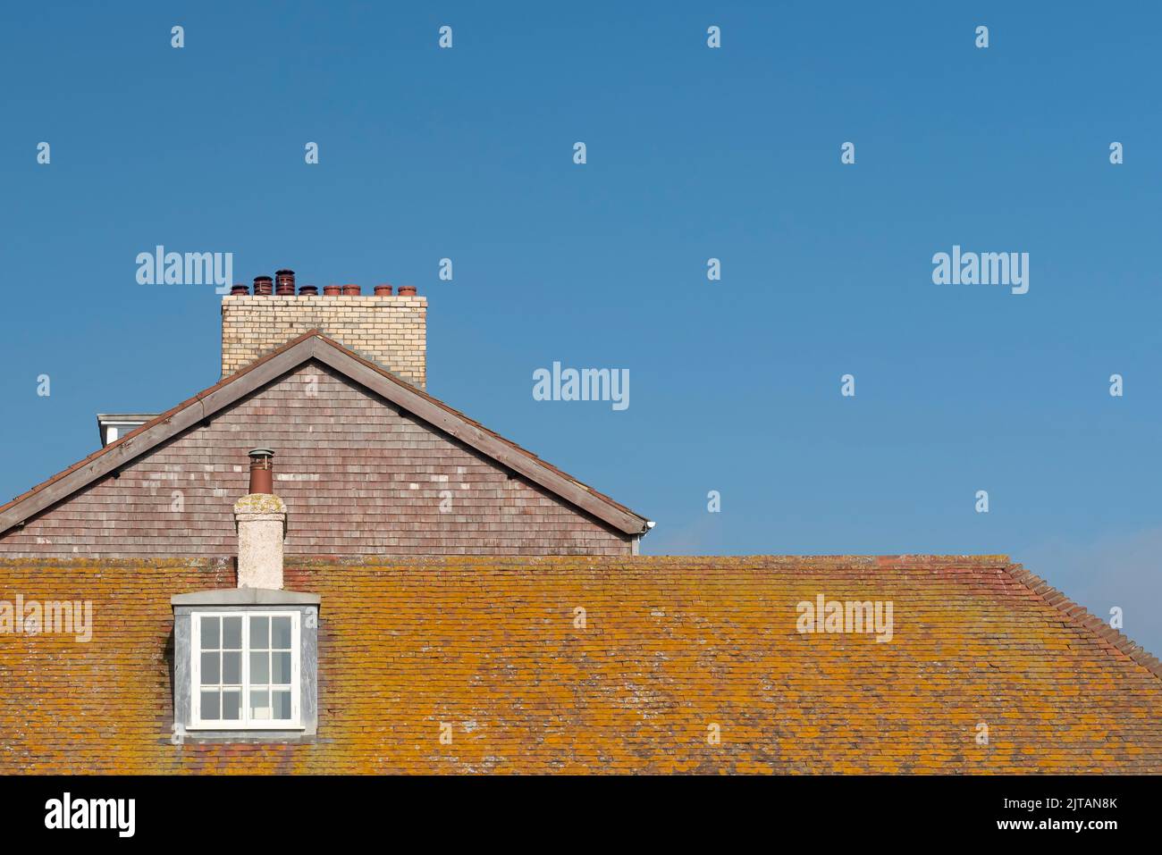 Roof tiles covered in moss Stock Photo Alamy