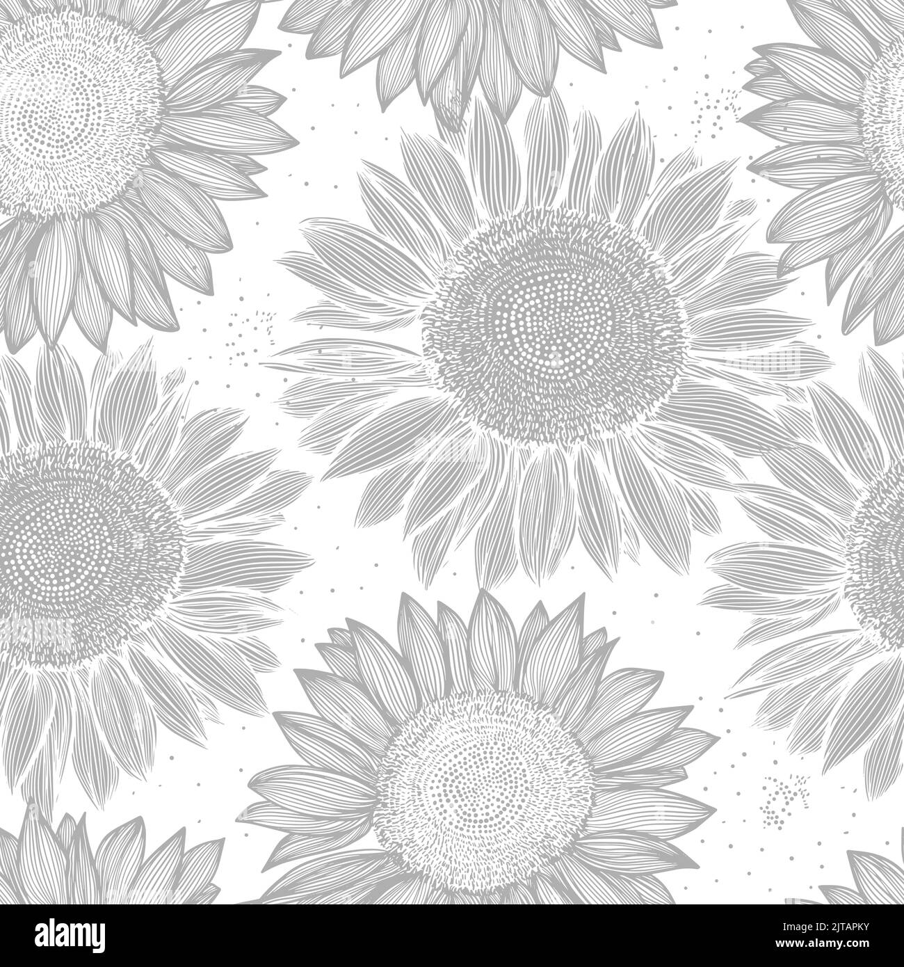 Funny sunflowers Black and White Stock Photos & Images - Alamy