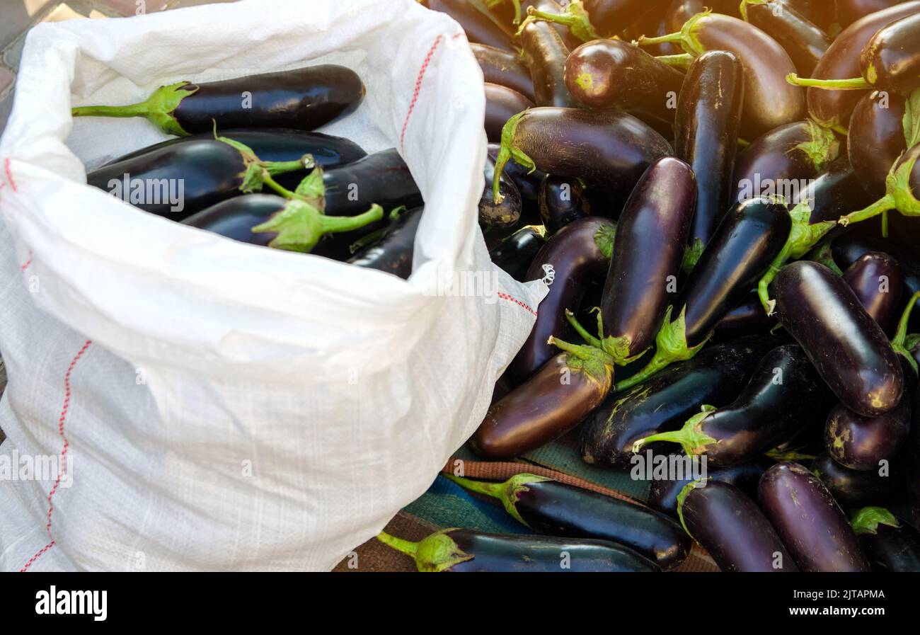 Aubergine stack hires stock photography and images Alamy