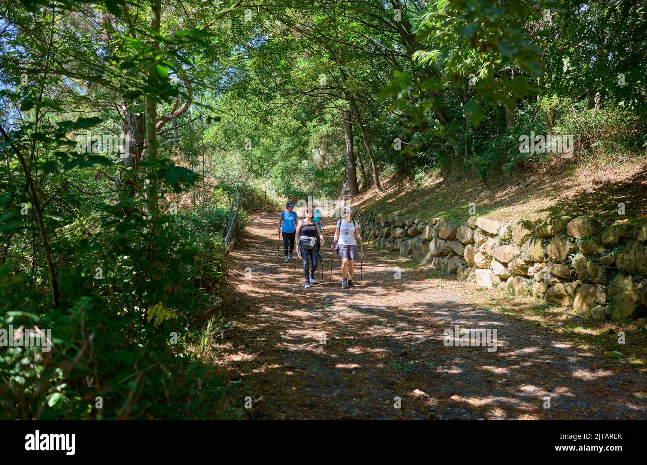Group of senior women friends hiking along trail in the Monte Ulia Mount. San Sebastian, Spain. Stock Photo
