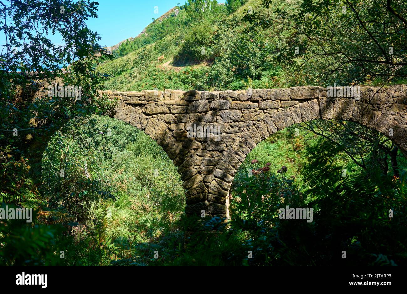 Remains of a Roman aqueduct in the Monte Ulia Mount. San Sebastian, Gipuzkoa, Basque country, Spain. Stock Photo