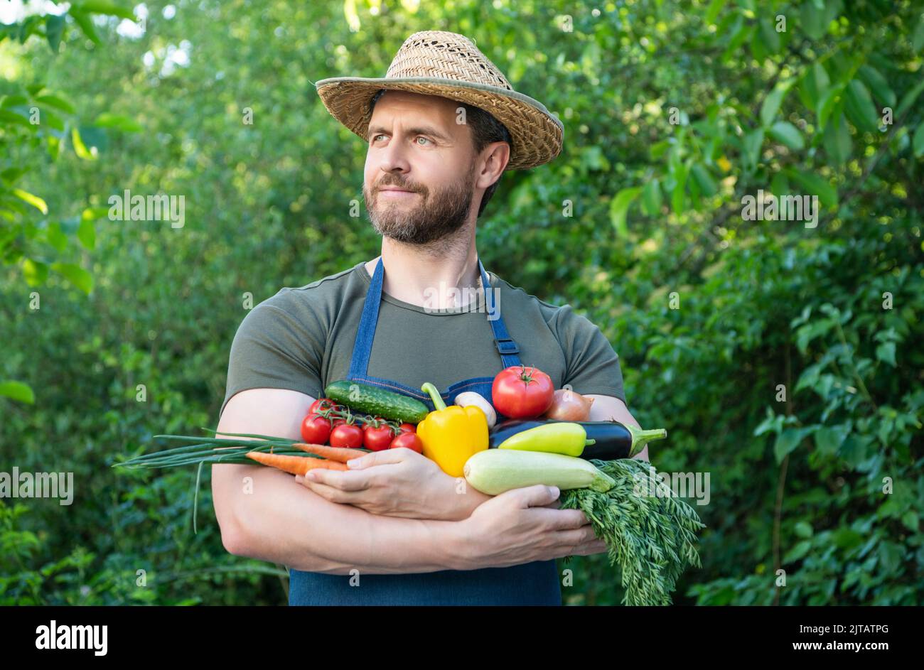 harvester in straw hat hold fresh ripe vegetables Stock Photo - Alamy