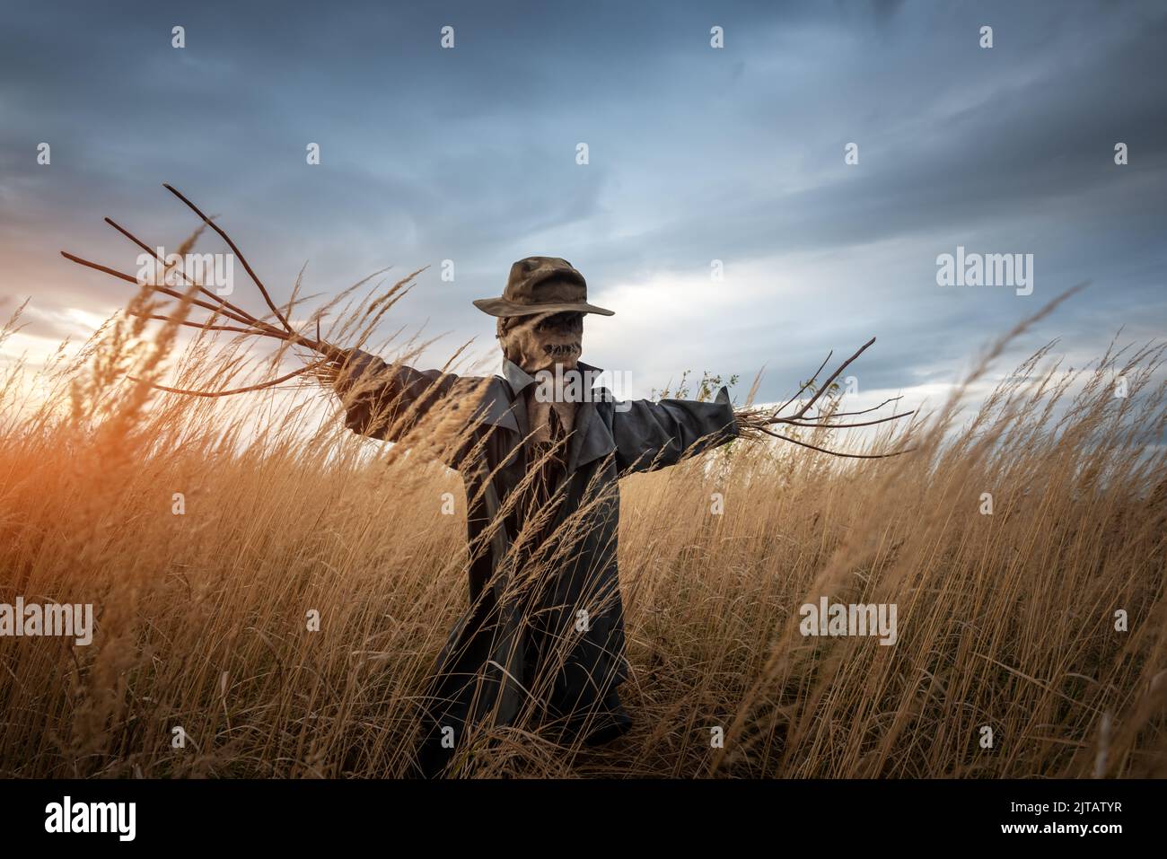 Scary scarecrow in a hat and coat on a evening autumn field during sunset. Spooky Halloween holiday concept. Halloweens background Stock Photo