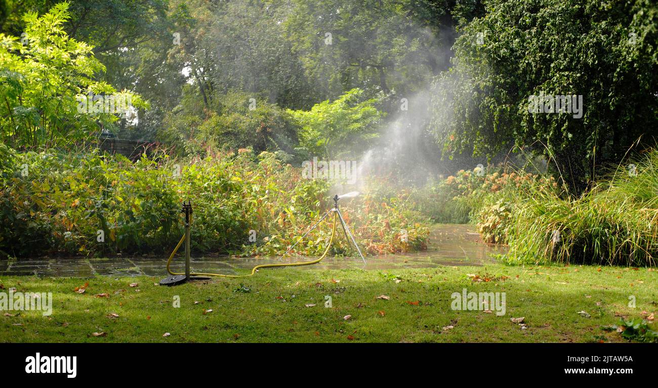 Public park watering with sprinkler irrigation system watering lawn, flowers and trees. Heat, drought and global warming concept Stock Photo