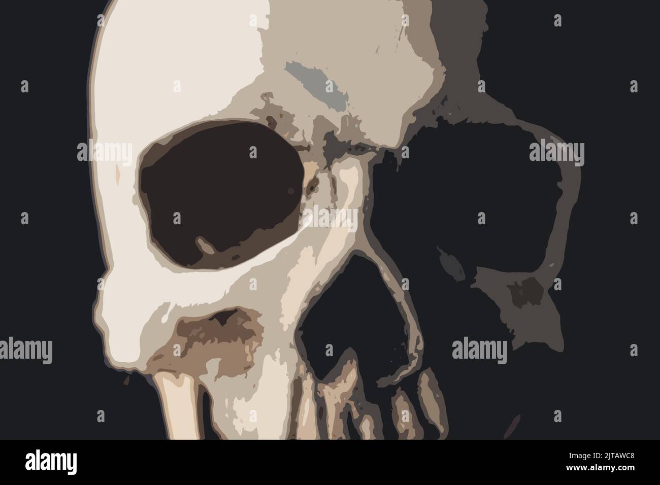 Obscure white-gray human skull design illustration over black background. Different shades of black and white used in the graphic art. Human anatomy concept. . High quality photo Stock Photo