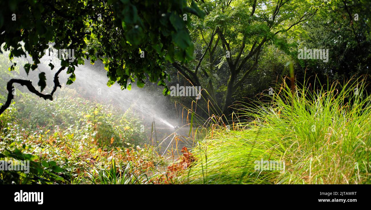 Public park watering with sprinkler irrigation system watering lawn, flowers and trees. Heat, drought and global warming concept Stock Photo
