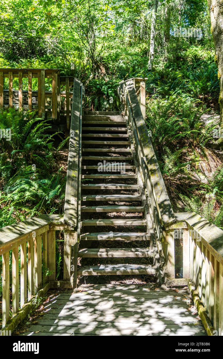 A log walking bridge at Dash Point State park in Washington State Stock ...