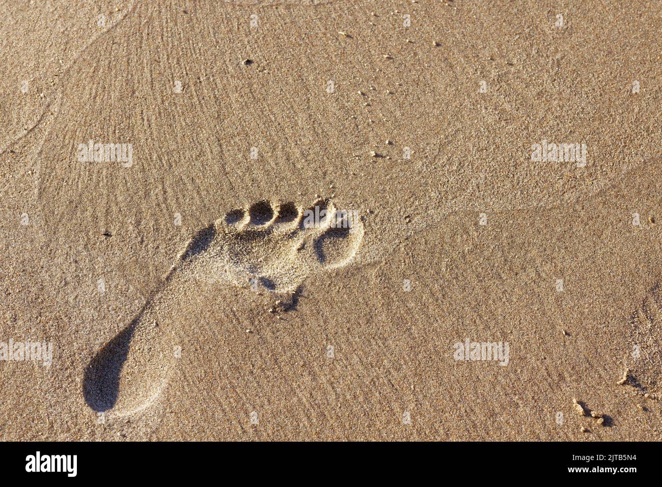 Closeup human footprint on sandy beach. Copyspace. Stock Photo