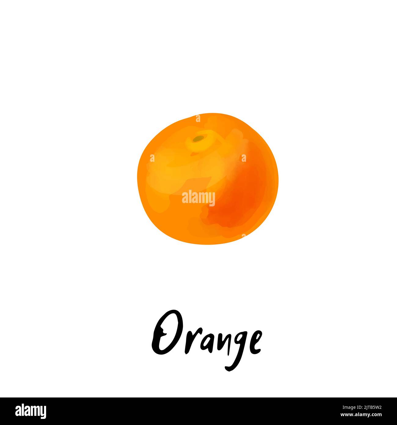 Illustration of a orange isolated on a white background Stock Vector ...