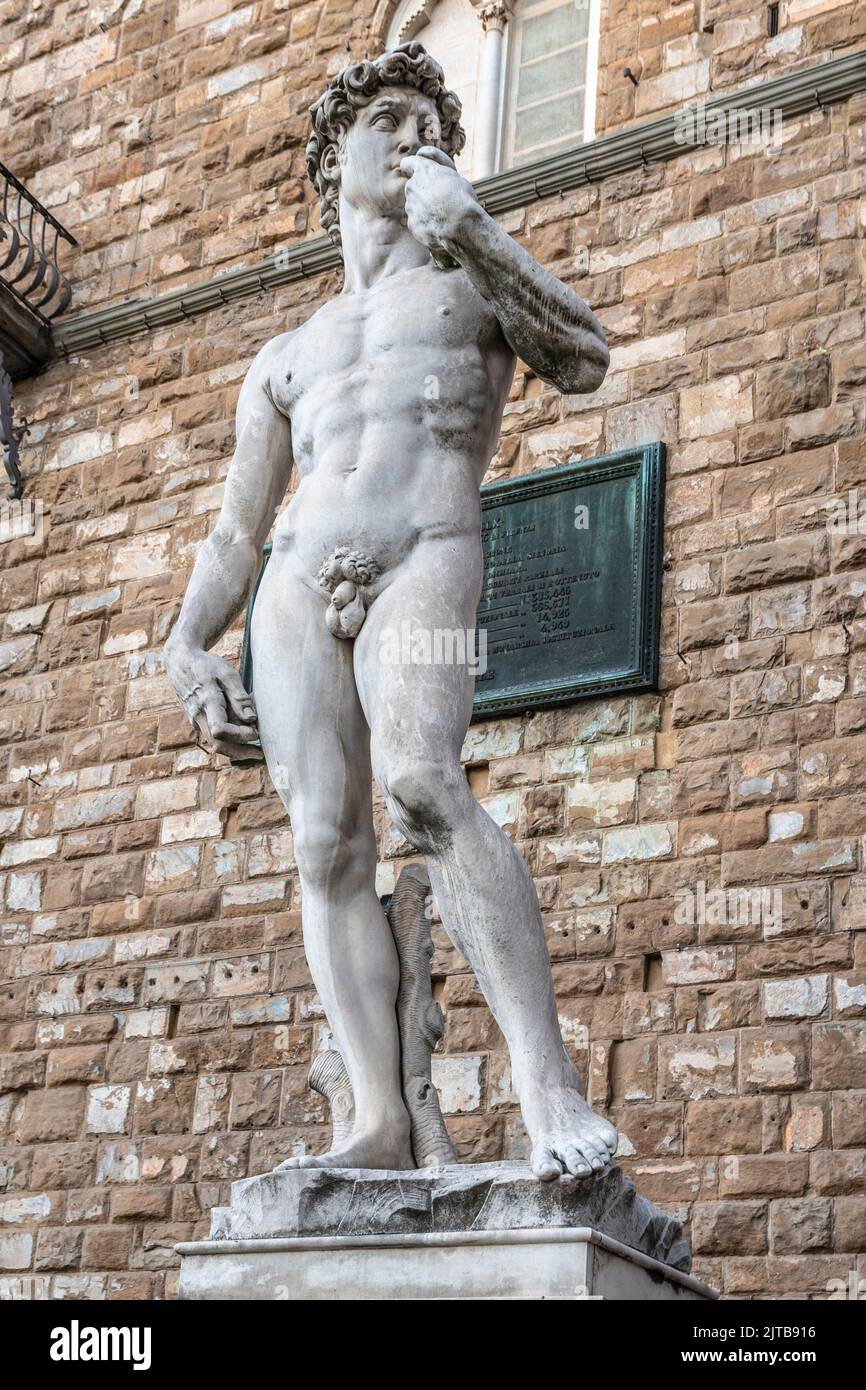 Michelangelo's David statue in Florence Stock Photo