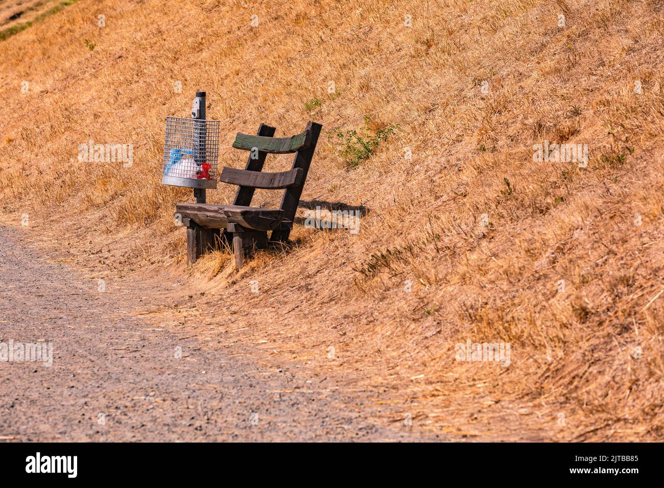 Park bench without shade on a path amidst withered grass after great heat in summer, Europe Stock Photo